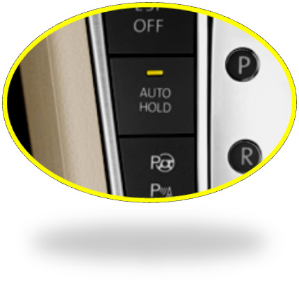 AUTO HOLD03